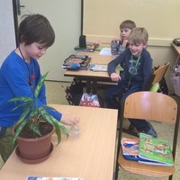 WP_20170126_11_11_30_Pro.jpg
