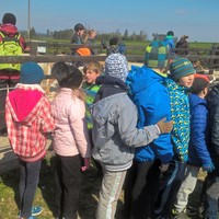 WP_20170421_10_12_17_Rich.jpg
