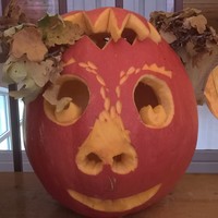 WP_20171009_14_13_24_Pro.jpg