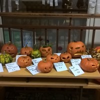 WP_20171010_07_42_11_Pro.jpg