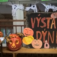 WP_20171010_07_42_41_Pro.jpg