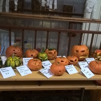 WP_20171010_07_43_04_Pro.jpg