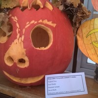 WP_20171012_12_42_02_Pro.jpg