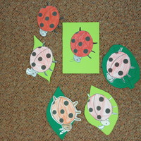 IMG_20190318_130043.jpg