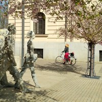 IMG_20190404_110007.jpg