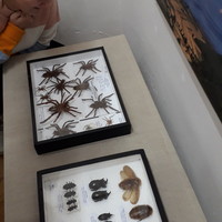 20191118_122655.jpg