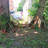 IMG_20210616_133058.jpg