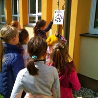 IMG_20220428_142907.jpg