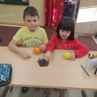 IMG_20211222_090847.jpg