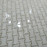 IMG_20210909_102848.jpg