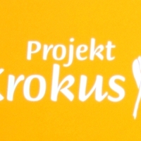 krokus.jpg