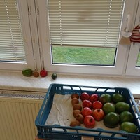 IMG_20230119_103733.jpg
