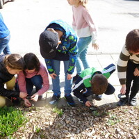 DSCN0252.JPG