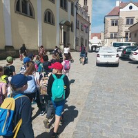 IMG_20230613_102728.jpg