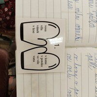 1677162595253.jpg