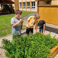 IMG_20240619_120637.jpg