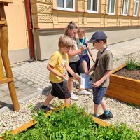 IMG_20240619_120723.jpg