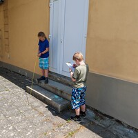 IMG_20240619_121037.jpg