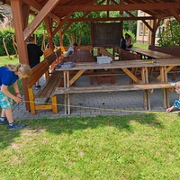 IMG_20240619_121454.jpg