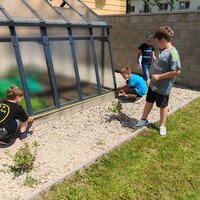 IMG_20240619_121838.jpg