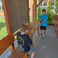 IMG_20240619_122117.jpg