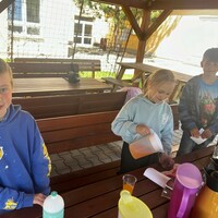IMG_3031.JPG