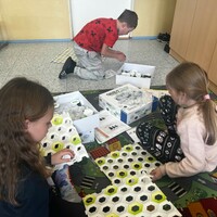 IMG_2863.JPG