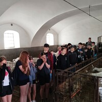 IMG_20240430_091118.jpg