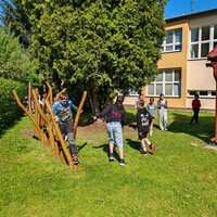 IMG_20250502_095337.jpg
