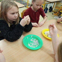 IMG_20250128_132347.jpg