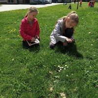 IMG_20250422_132502.jpg