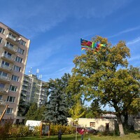 IMG_4163.JPG
