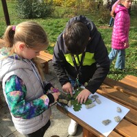 thumbnail_IMG_7629.jpg