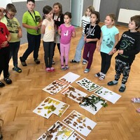 thumbnail_IMG_7633.jpg