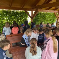IMG_8552.jpg
