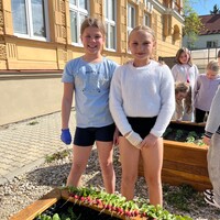 IMG_7650.jpeg