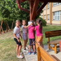 IMG_6166.jpeg