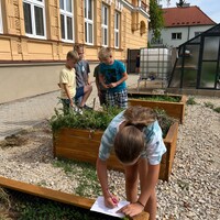 IMG_6167.jpeg