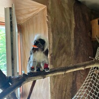 IMG_7603(1).jpeg