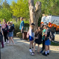 IMG_5318.JPG