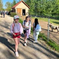 IMG_5326.JPG