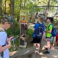 IMG_5329.JPG