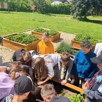 IMG_5439.JPG