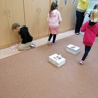 IMG_20241114_151011.jpg