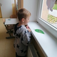 IMG_20241018_084031.jpg