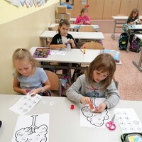 IMG_20241018_093145.jpg