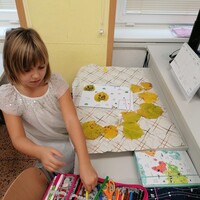 IMG_20241022_112041.jpg