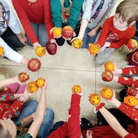 IMG_20241220_105357.jpg