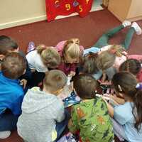 IMG-20250127-WA0050.jpg