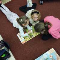 IMG-20250128-WA0010.jpg